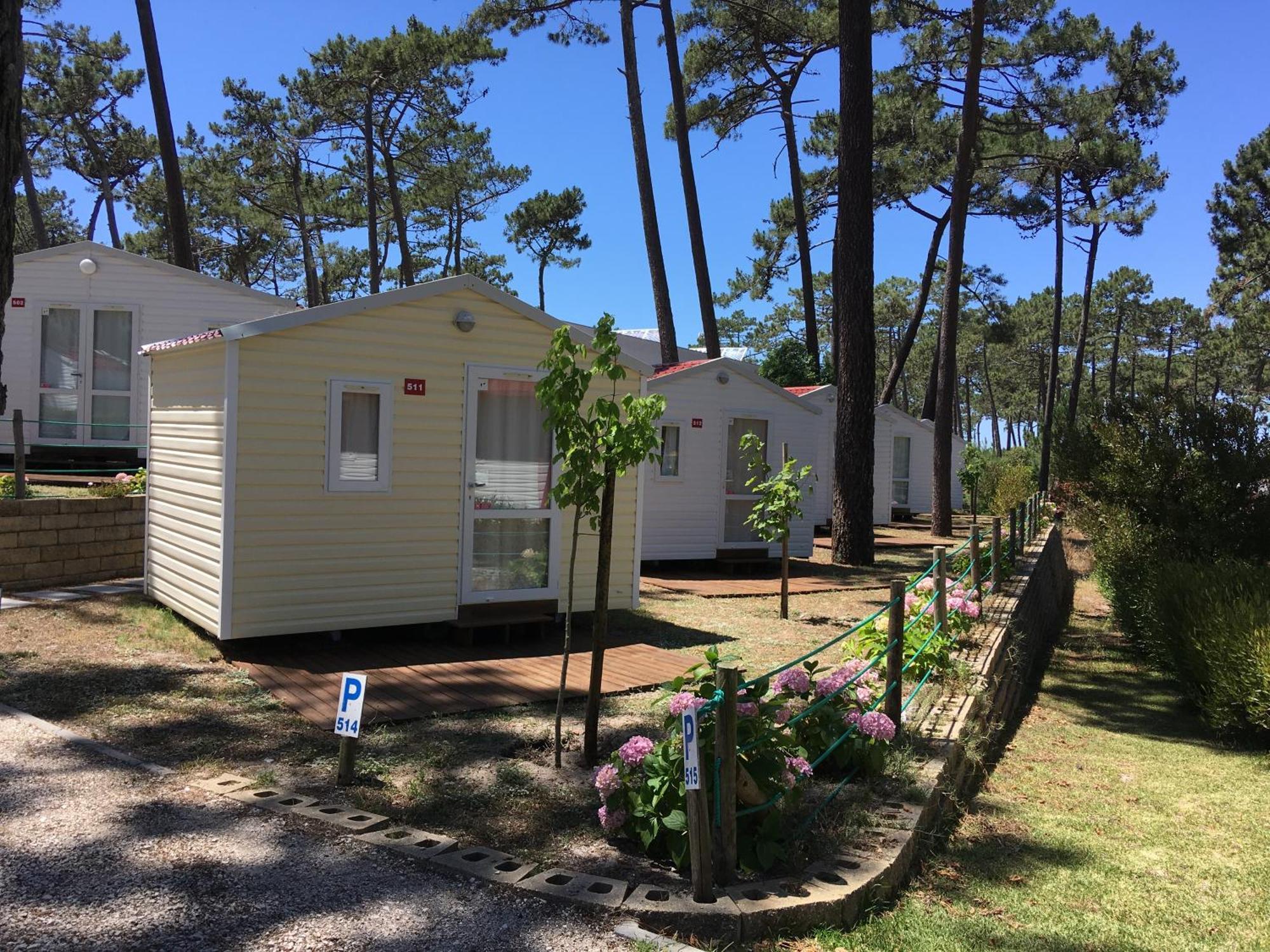 Parque De Campismo Orbitur Sao Pedro De Moel Otel Dış mekan fotoğraf