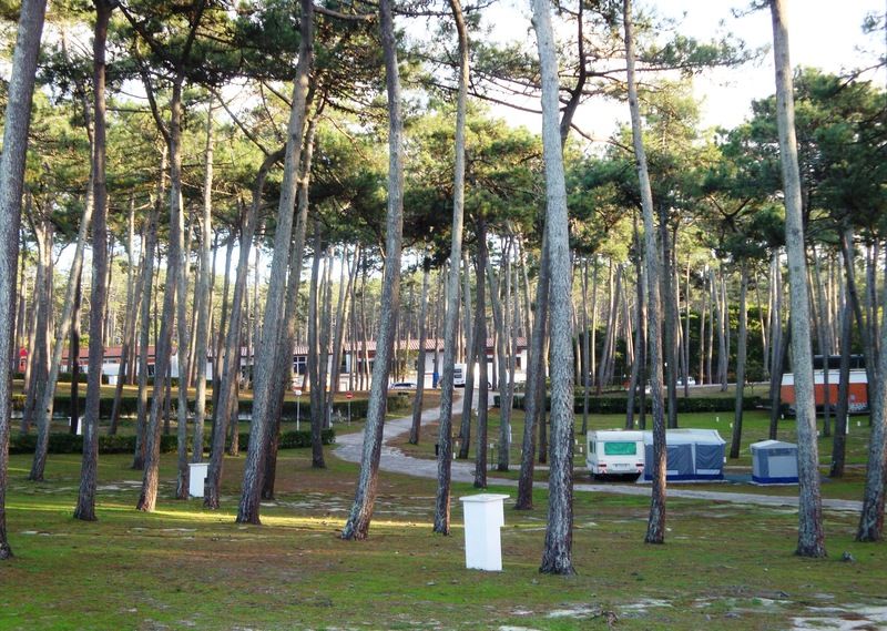 Parque De Campismo Orbitur Sao Pedro De Moel Otel Dış mekan fotoğraf