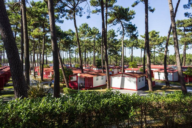 Parque De Campismo Orbitur Sao Pedro De Moel Otel Dış mekan fotoğraf