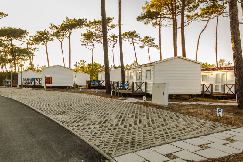 Parque De Campismo Orbitur Sao Pedro De Moel Otel Dış mekan fotoğraf