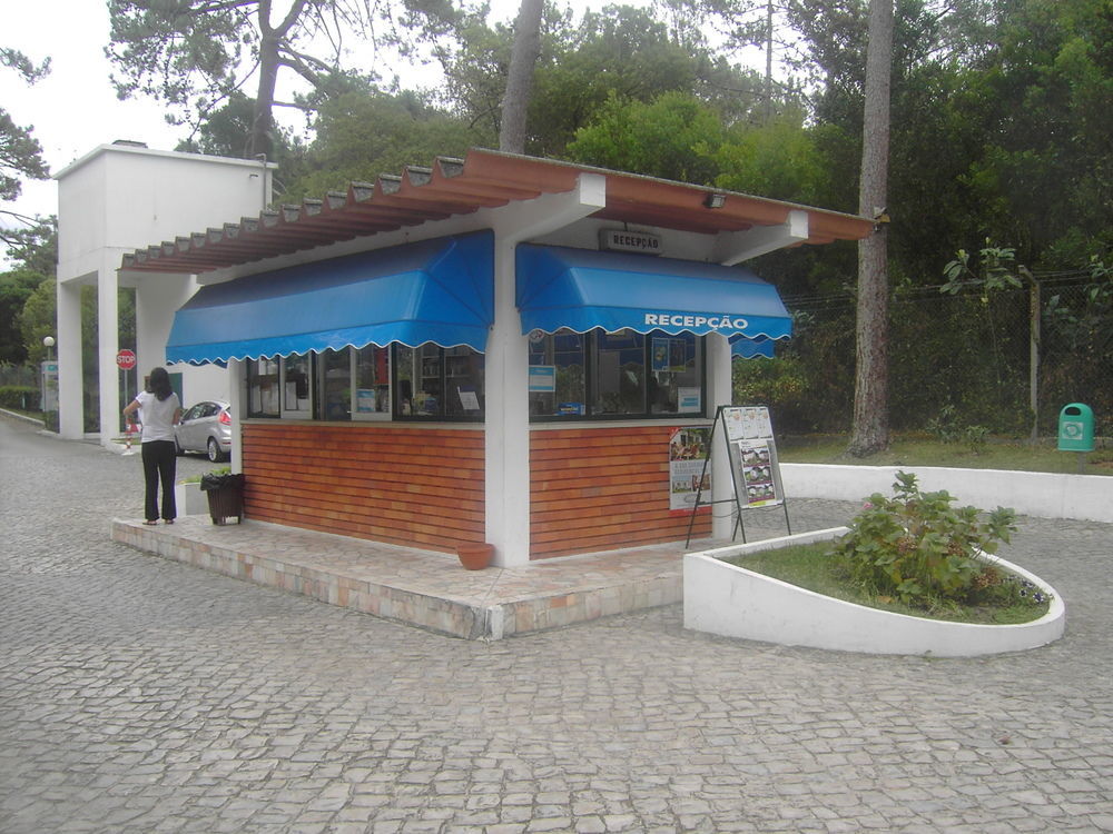 Parque De Campismo Orbitur Sao Pedro De Moel Otel Dış mekan fotoğraf